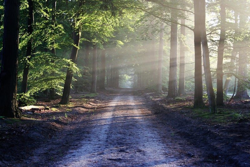 Certification Paths